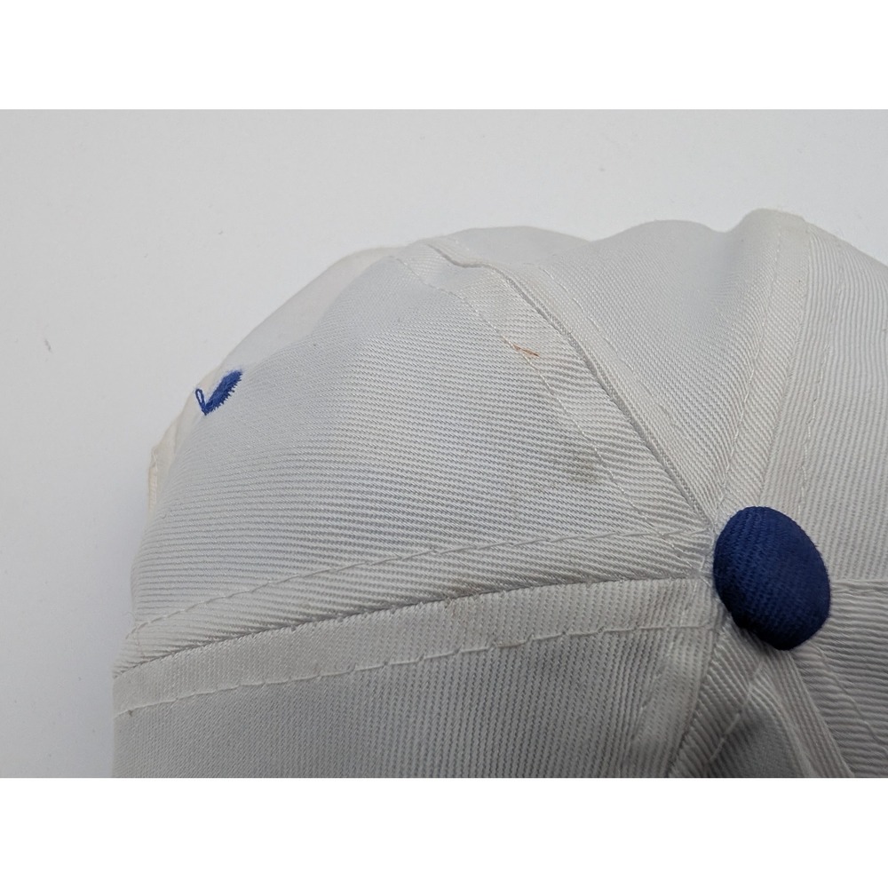 Vintage Sherwin-Williams Co Snapback Hat White Blue Paint Logo Trucker Cap View 6